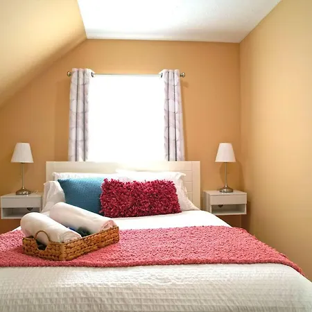 The Guest House In Ohio City - Mehmaan Khana-3
